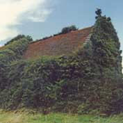 St Denis' – in 2002 before the ivy was removed. Practically everything on the inside had been ripped out – there was no glass in the windows and the whole building was in great danger of collapse.