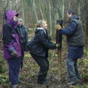 Ramming in a fence post in Gamlingay Wood.