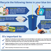 Plastics which you can put into your blue bin.