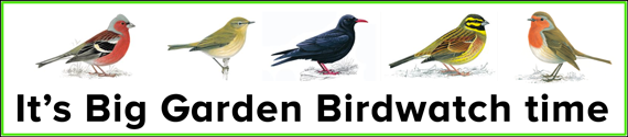 RSPB's Big Garden Birdwatch, 27th to 29th January 2023.