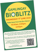 Gamlingay Bioblitz walk, Wednesday, 11th June 2025.  As part of the Great Big Green Week, Gamlingay and Hatleys Climate Action Group is hosting three walks to identify and record birds, insects, wild flowers, trees ‘and more’.  Each walk will last approximately 1½ hours of slow walking, with stops, followed by 30 minutes for refreshments and gathering data lists.